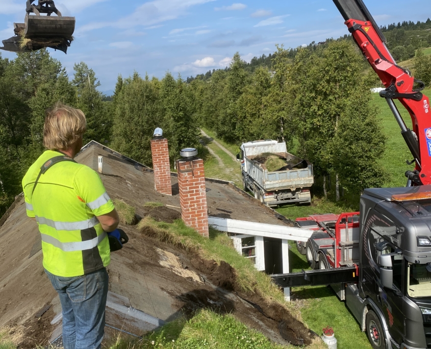 Bytte torvtak, Golsfjellet Vest